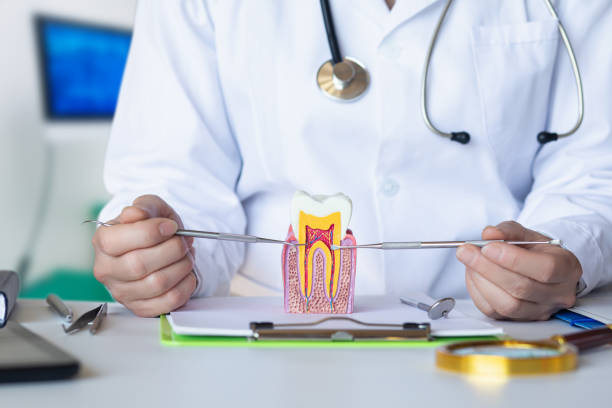 Best After-Hours Emergency Dentist in Eastover, NC
